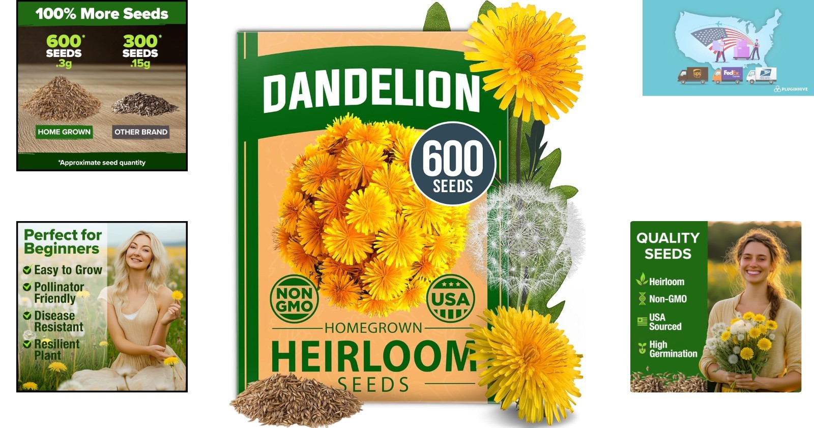 Heirloom Dandelion Seeds (600 Non-GMO) – Thrives in Zones 2-11, Includes Guide