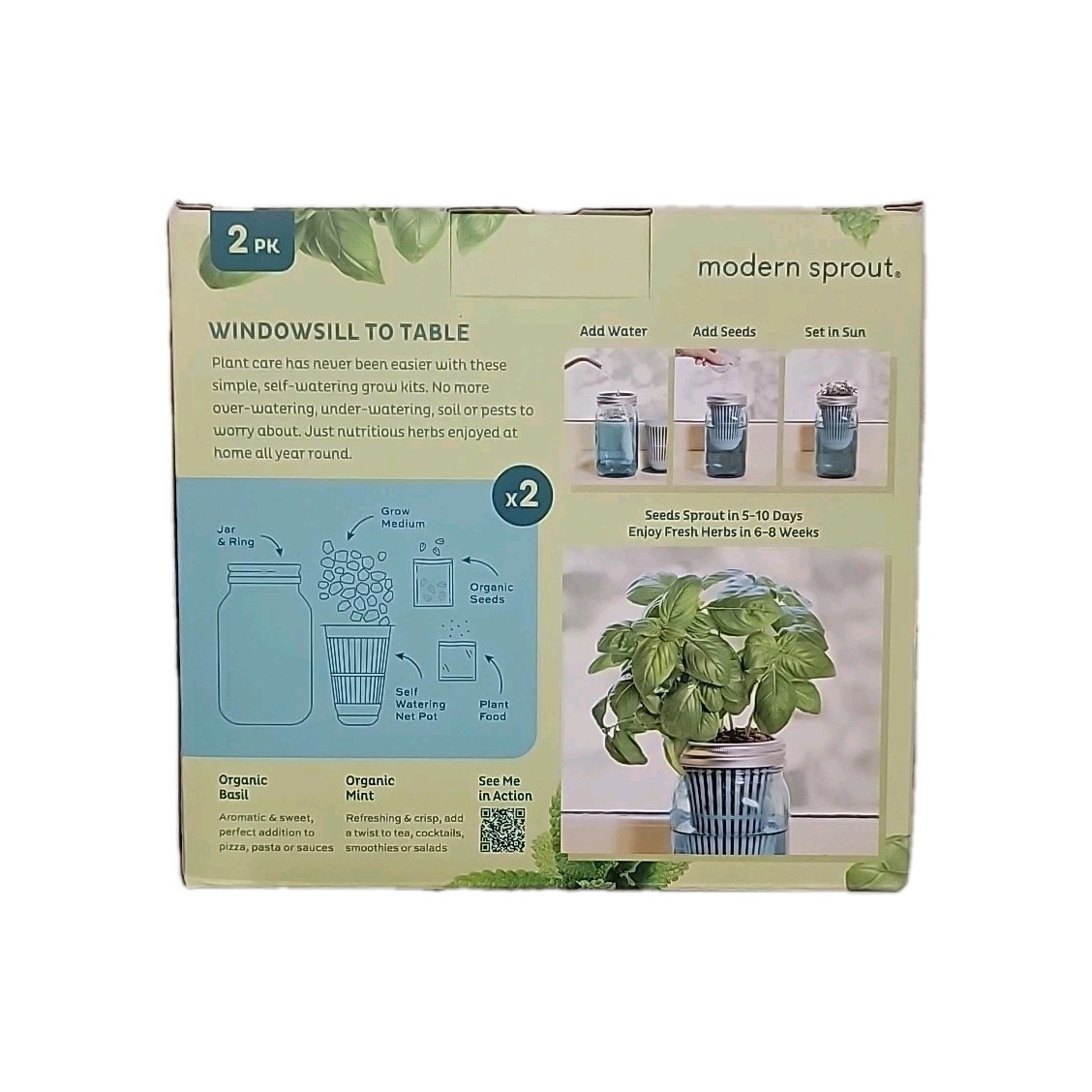 Modern Sprout Organic Herb Glass Jar Grow Kits, 2 Pack, Basil & Mint
