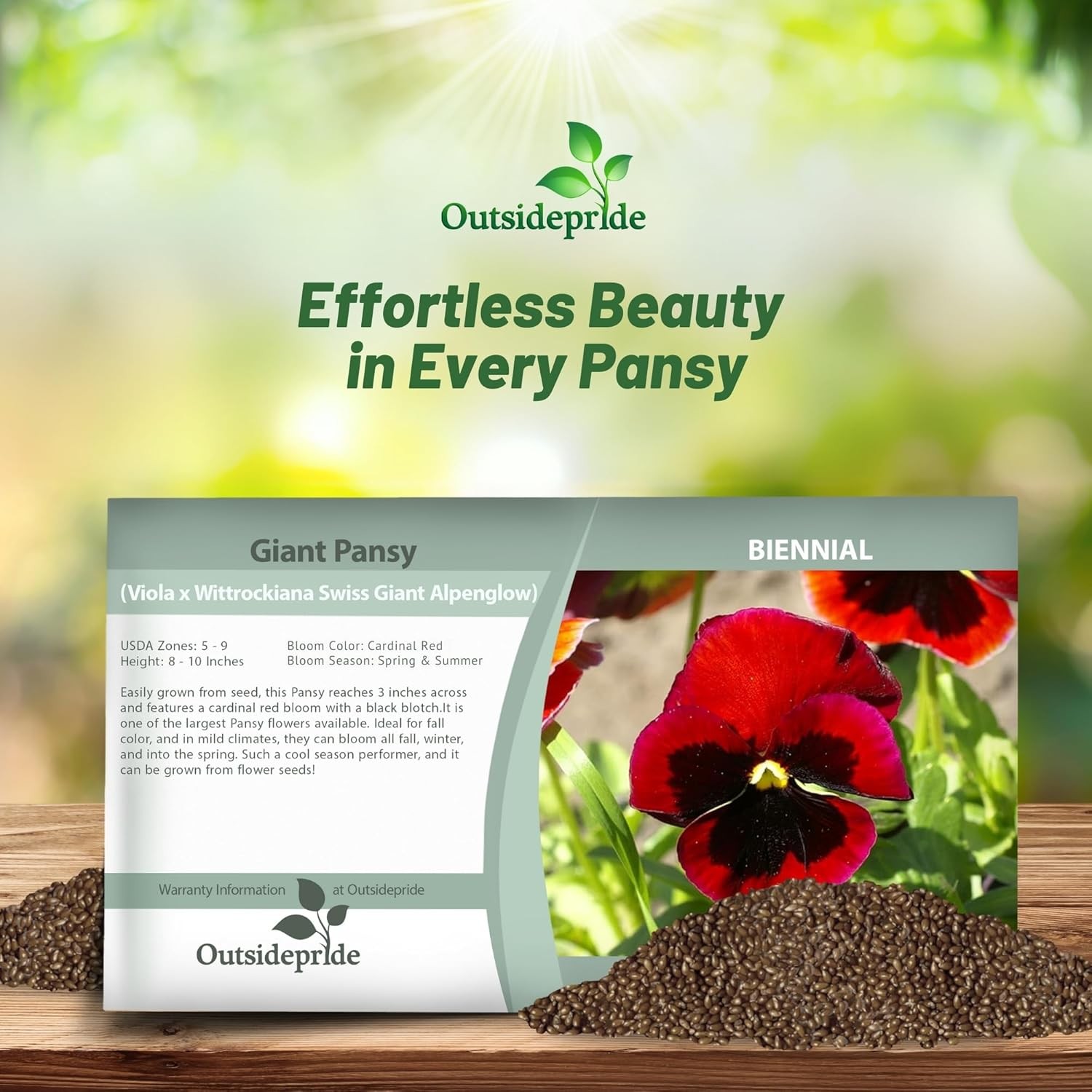 2000 Seeds Pansy Seeds – Swiss Giant Pansy Flower Seed