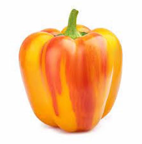 10 Seeds , Aloha Rainbow Sunset Bell Pepper Seeds ,Organic NON -GMO, 2024 Season