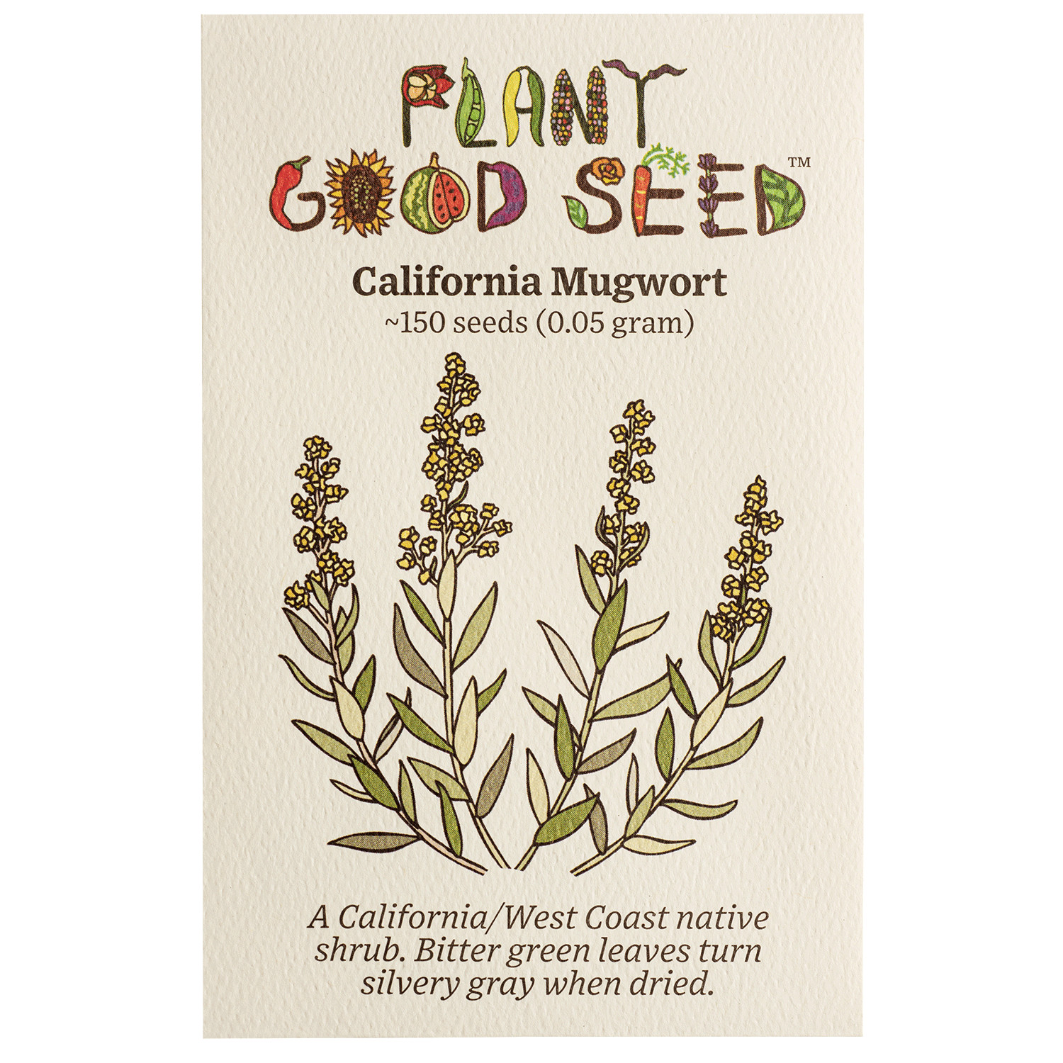 California Mugwort Seeds