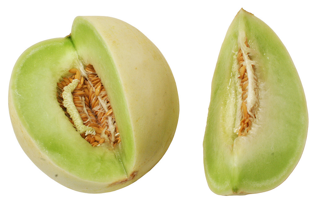 65 SEEDS – HONEY DEW MELON honeydew non-GMO GroCo USA – BUY 15-SHIPS FREE