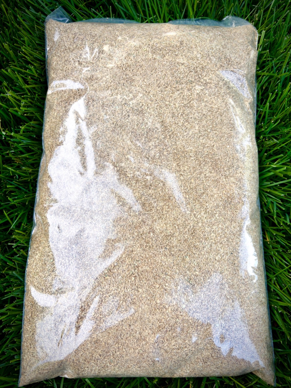 100% Kentucky Bluegrass Grass Seed Blend 3 lb KBG Self-Repairing Cool Season