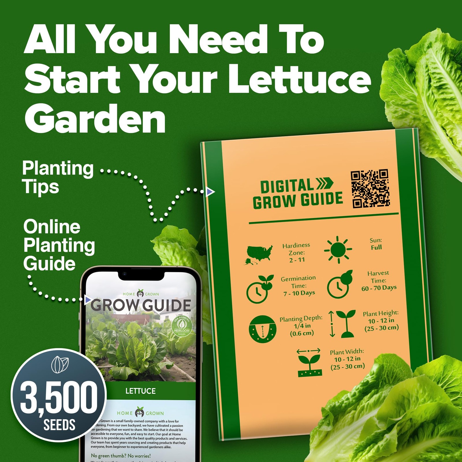 Heirloom Romaine Lettuce Seeds – 3,500+ NonGMO, High Germination, Crisp Heads