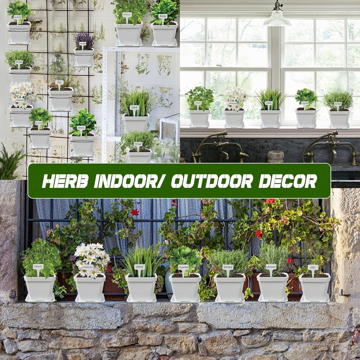 10 Herb Seeds Garden Starter Grow Kit with White Pots, Markers, Nutritional Soil
