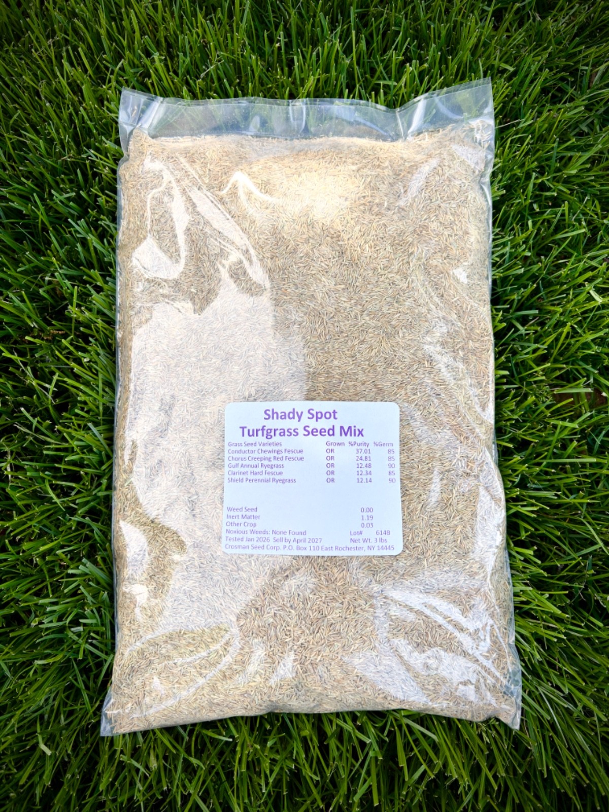 Grass Seed for Shade Fine Fescue Mix 3 lb Cool Season Low Maintenance Full Sun
