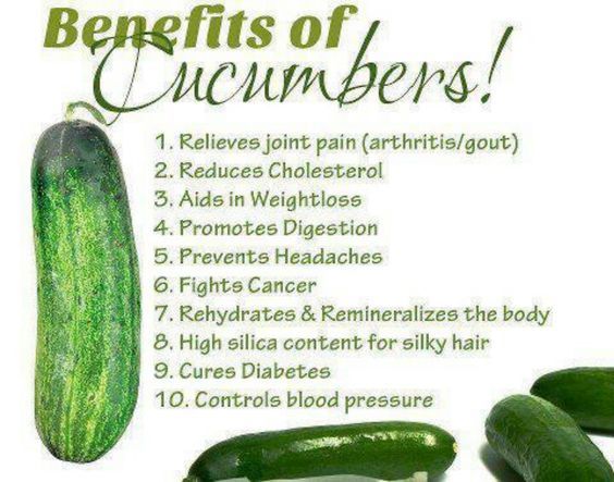 100 Marketmore 76 Cucumber Seeds-Open Pollinated-NON GMO-Organic