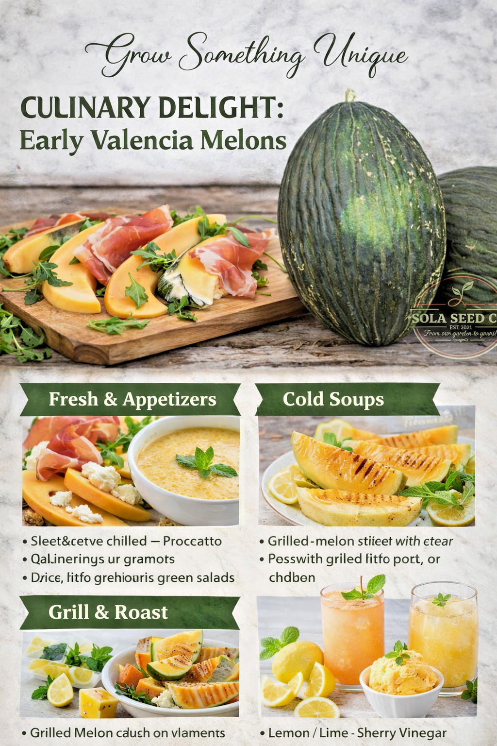 25 Early Valencia Melon Seeds, Unique, Sweet, Heirloom, Non-GMO, Genuine usa
