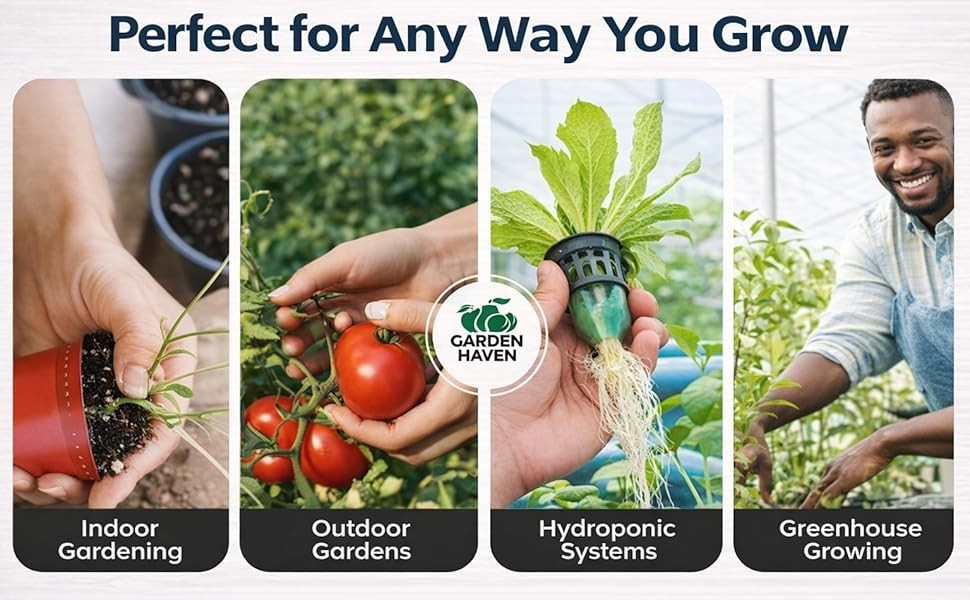 20 Vegetable Seeds Variety Pack Indoor Outdoors Vegetable Seeds