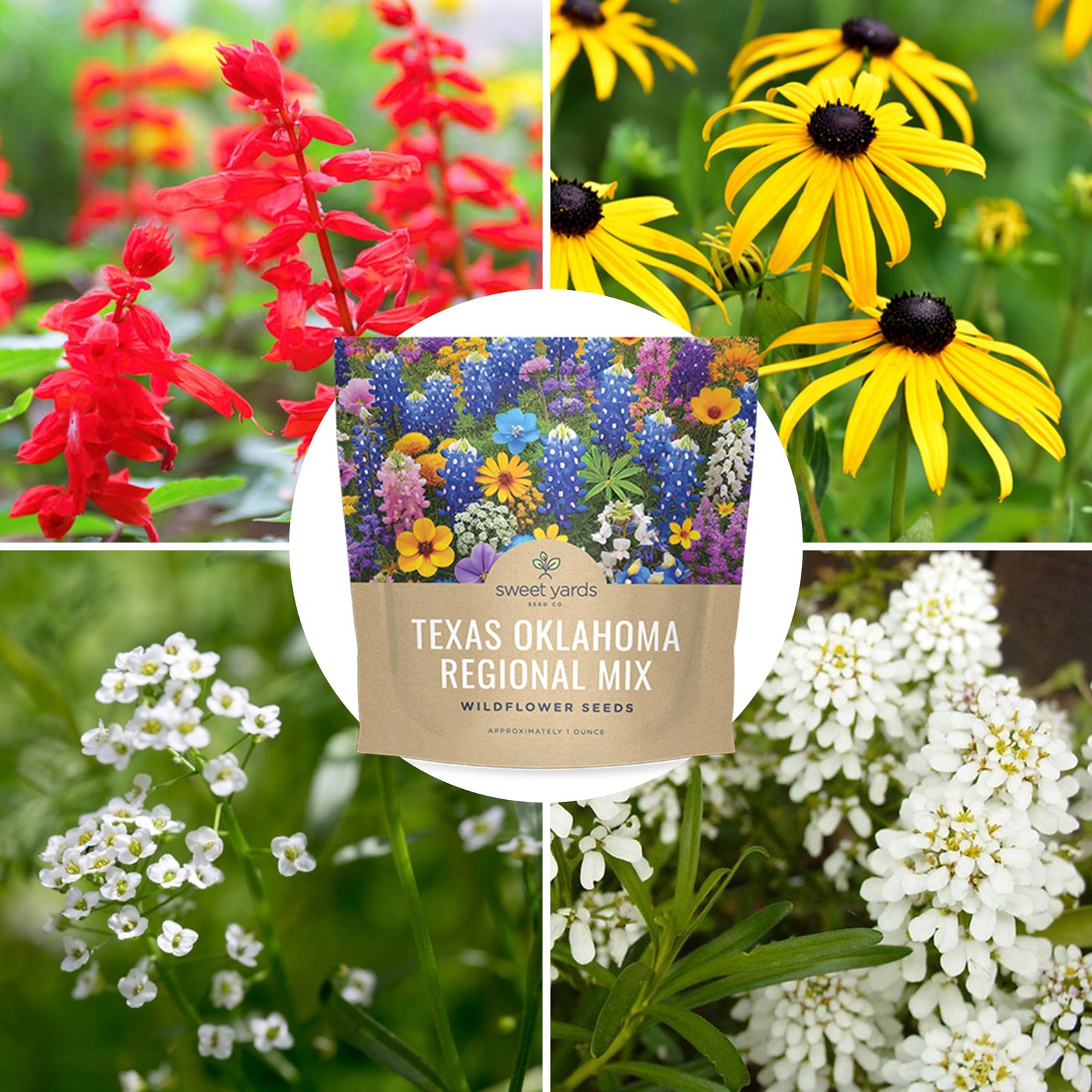 Texas Oklahoma Wildflower Seeds Mixture 1 Ounce (Pack of 1), Multiple Colors