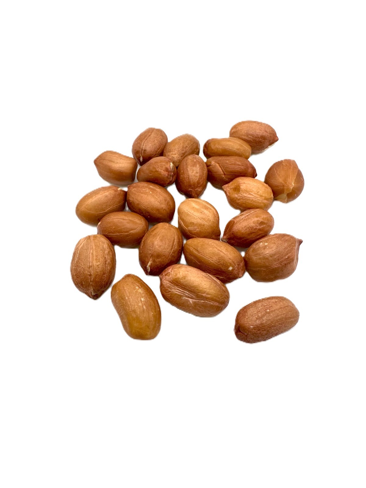 100 pcs Peanut Seeds for Planting. Raw Virginia Peanuts Seed for Home Garden