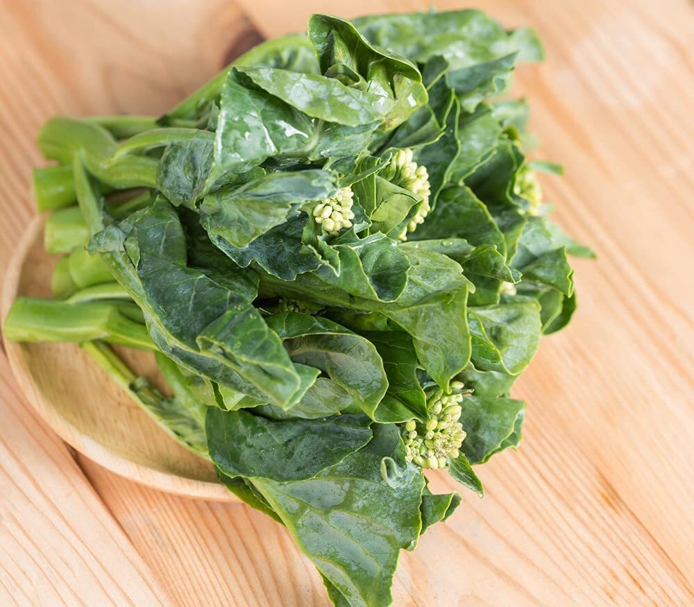 Cool Season 3oz of Pak choy, Chinese Broccoli & Michihili, Pak Choi Cabbage