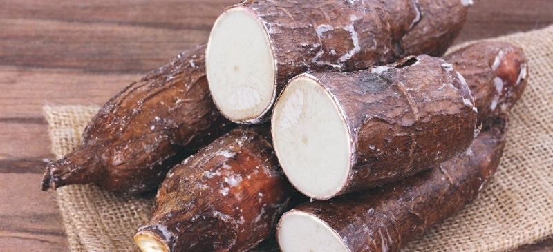 Fresh Whole Yuca Root (5LBS)