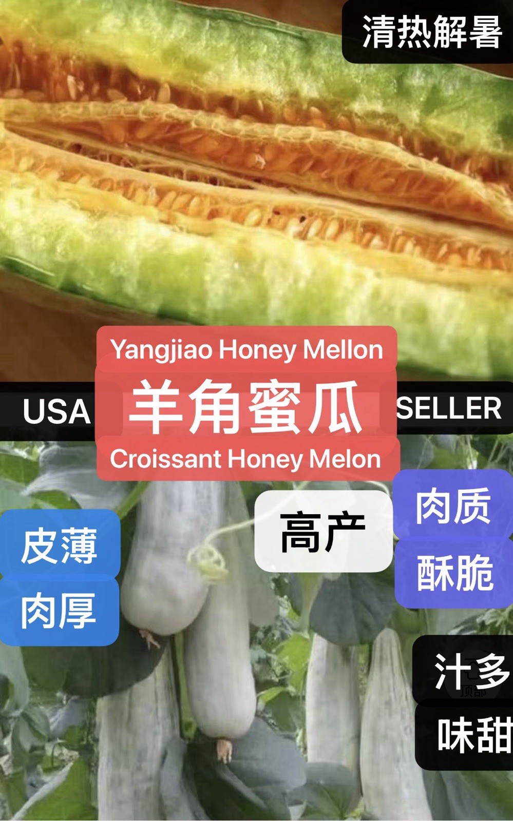 30CT F1 Hybrid Yangjiao Honey Melon Croissant Honey Melon seeds.30粒杂交羊角蜜甜瓜2025新种