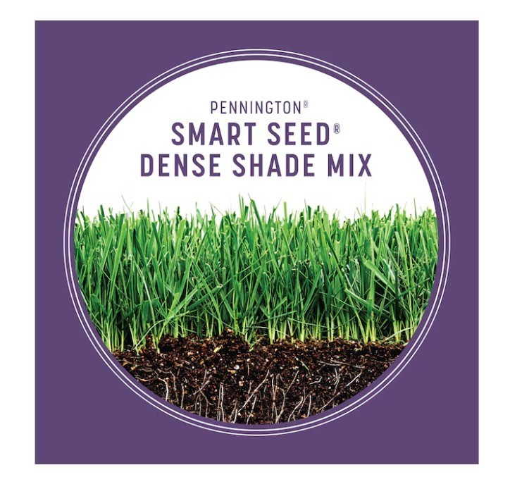[SALE] Pennington Smart Seed Dense Shade Tall Fescue Grass Seed 7 lb (2 Pack)