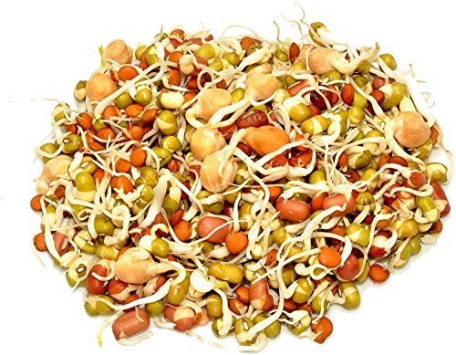 Organic Salad Sprouting Mix 16 Oz Non GMO Alfalfa Broccoli Lentil Mung Bean