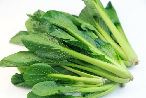 200+ Seeds Tendergreen Mustard(Brassica juncea) Spinach mustard Komatsuna USA