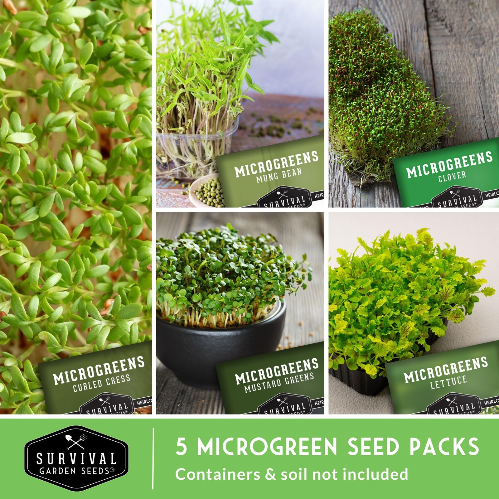 Microgreens Seeds 5Variety Pack for Sprouting – Mustard, Mung Bean, Curled Cr…