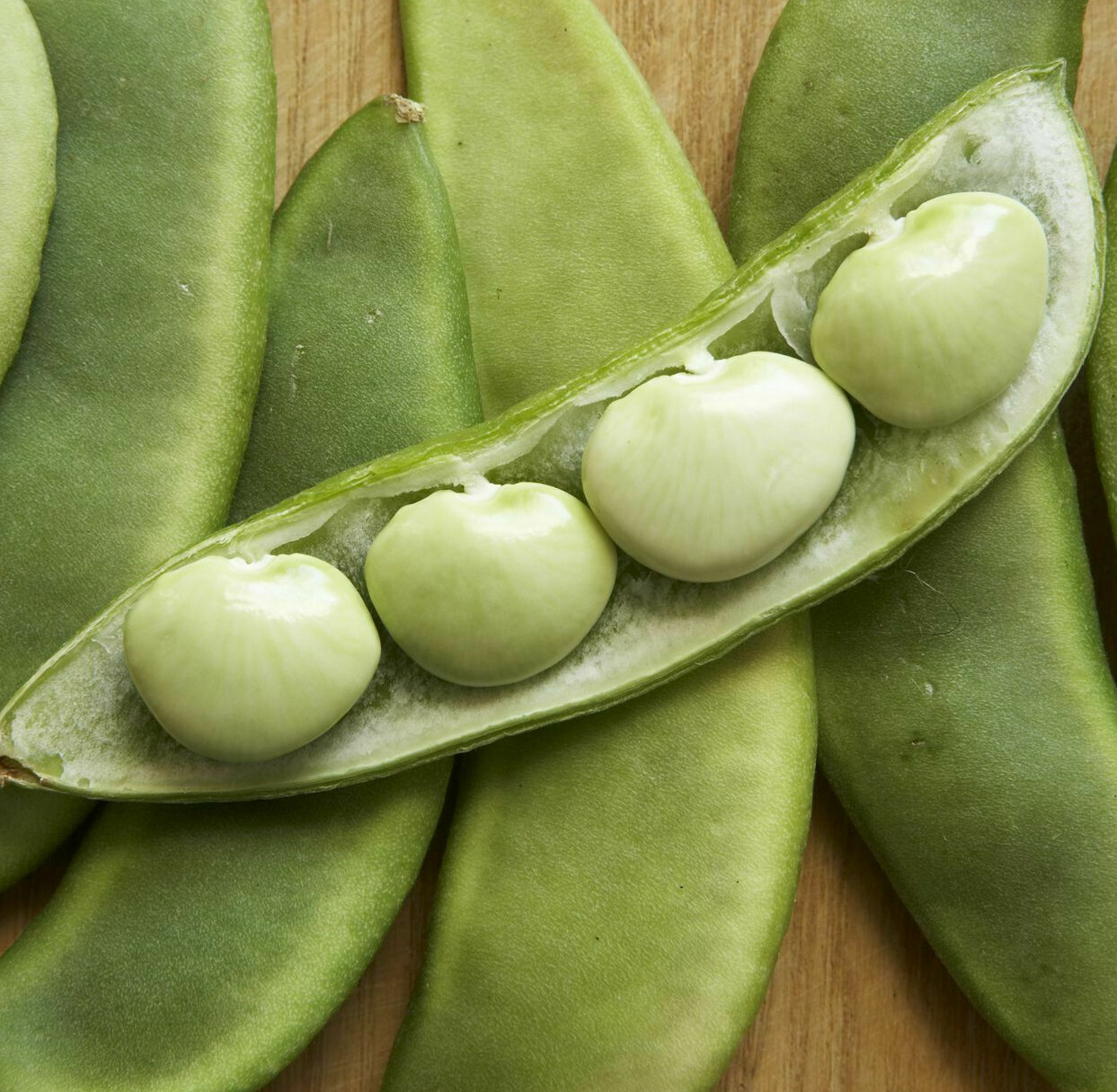 Fordhook 242 Lima Bean Seeds | Treated | Butter Pea Fava Vegetable Seed New 2024
