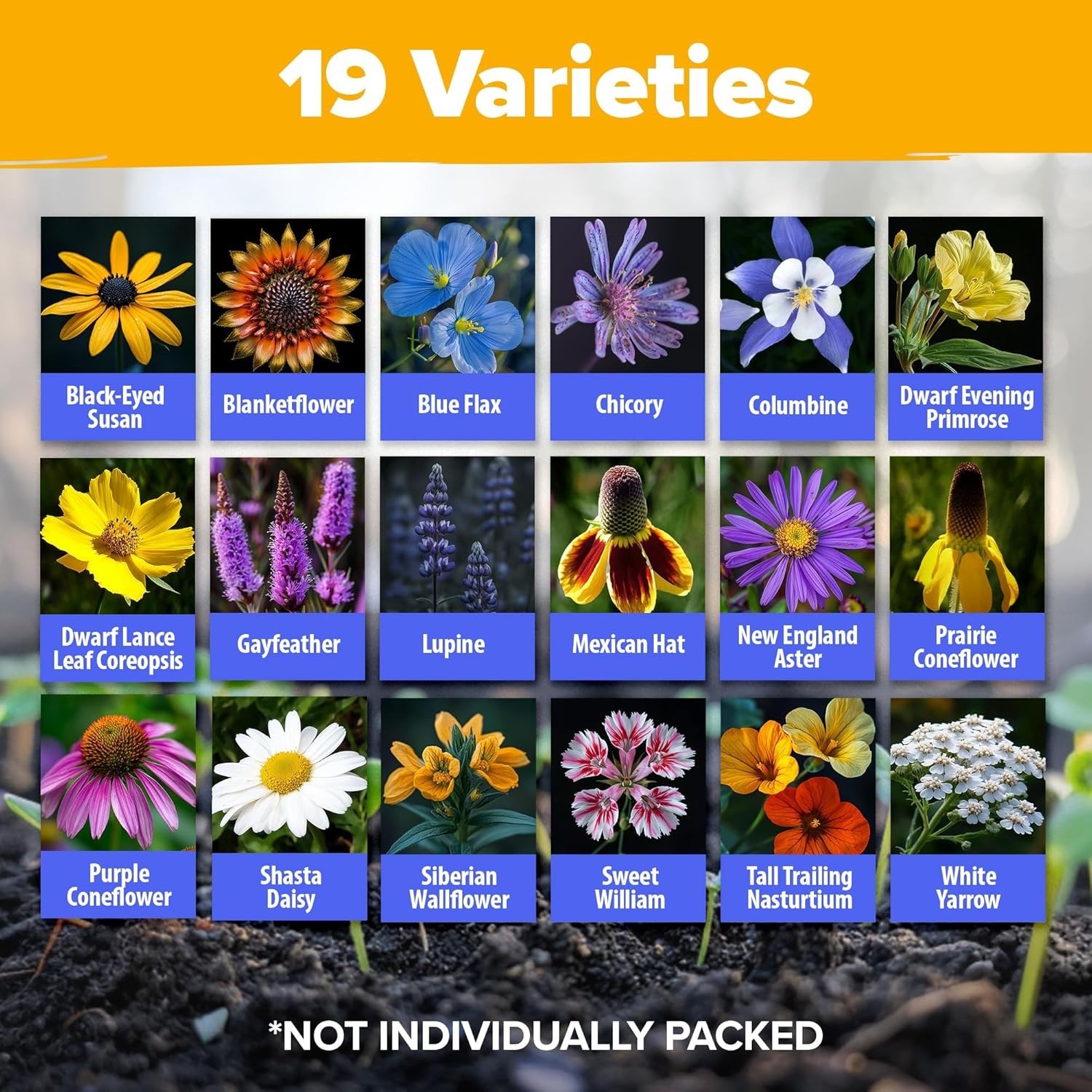 Wildflower Perennial Seed Mix: 19 Varieties to Attract Bees & Butterflies