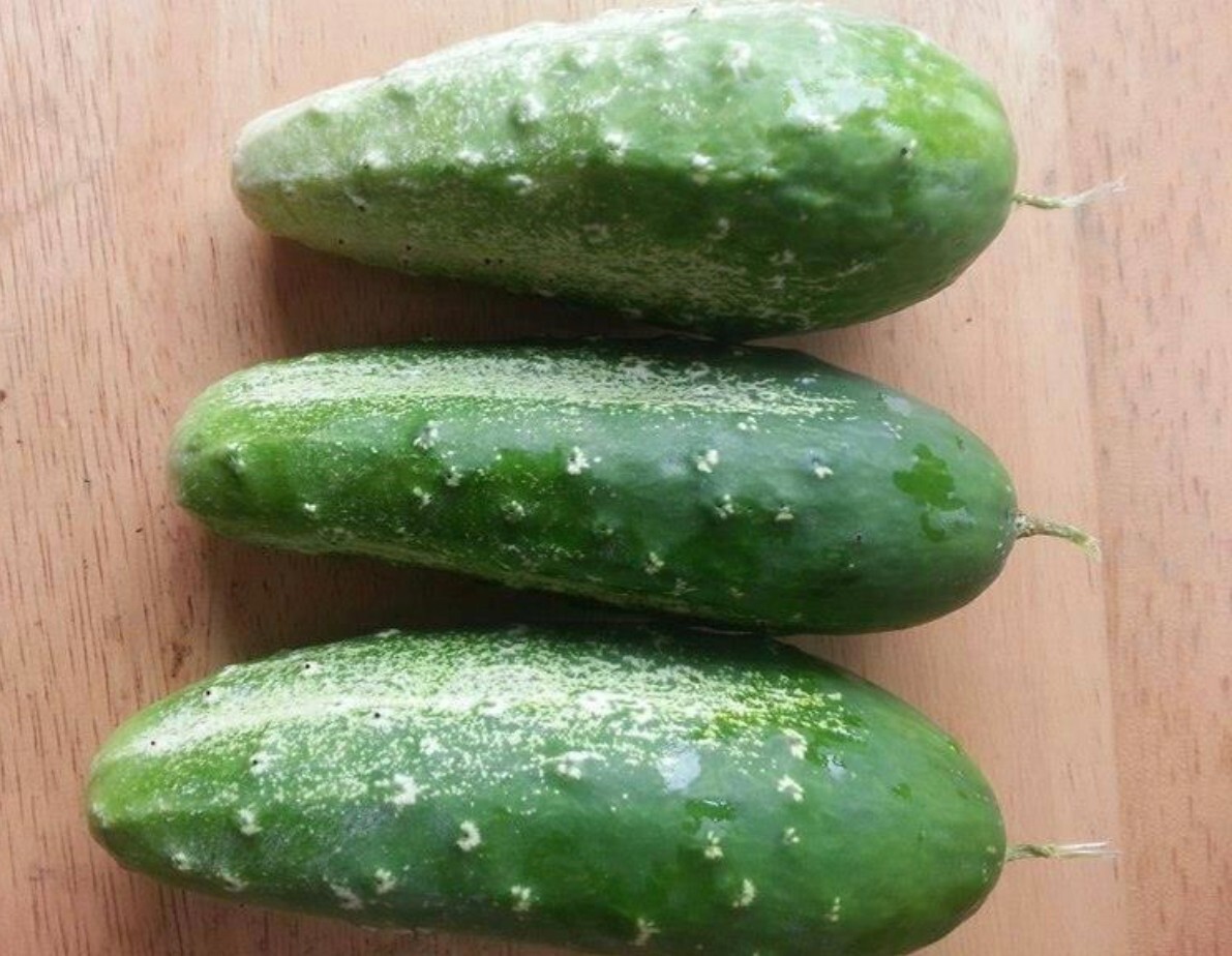 Cucumber Collection | Seeds