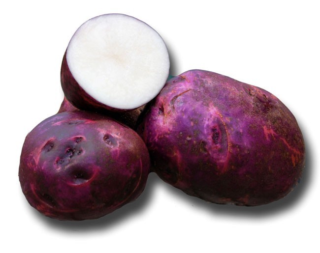 Purple Viking Potato -2 lbs pounds- Certified Whole Seed Potatoes for Spring