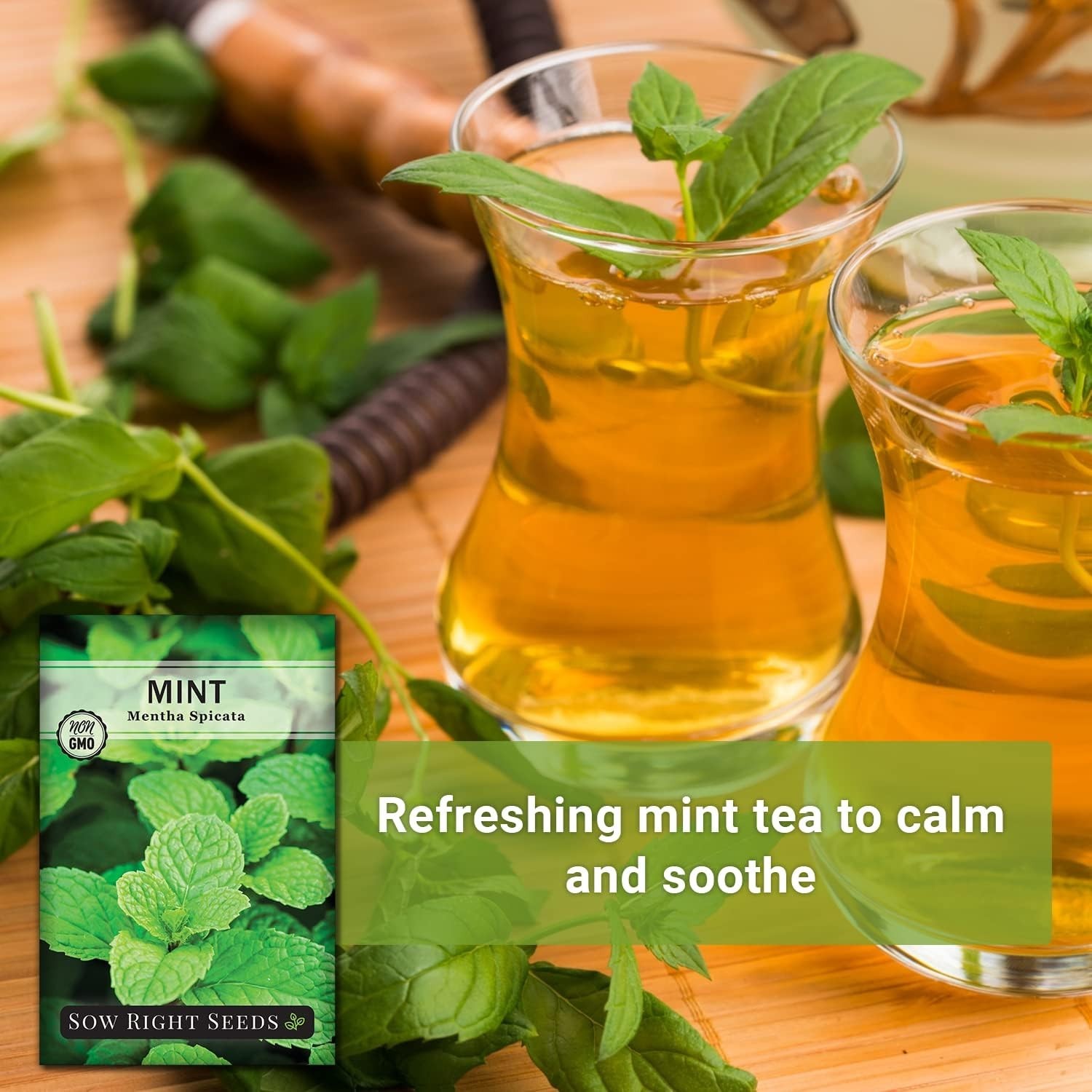 Non-GMO Mint Seeds for Indoor & Outdoor Herb Gardens – Easy to Grow