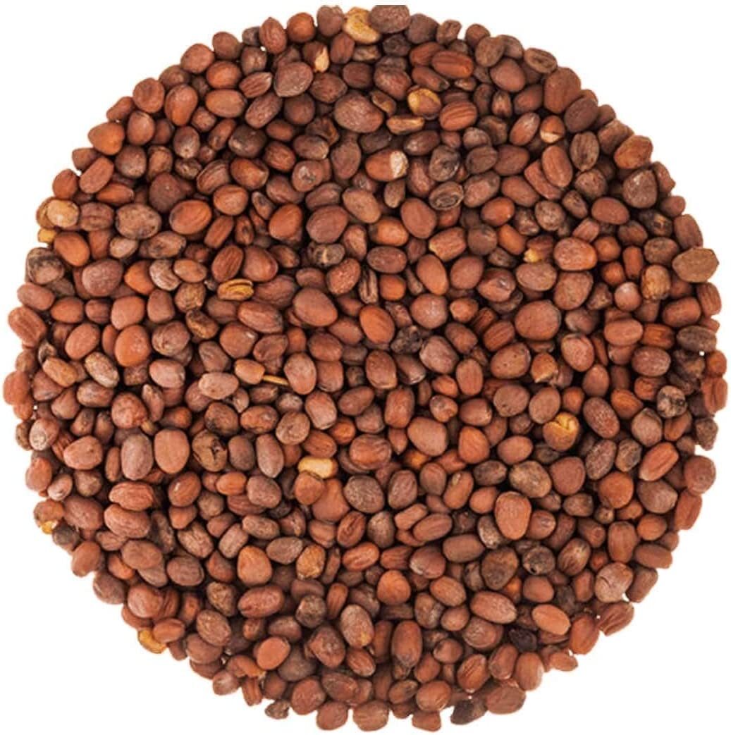 Radish Seeds for Sprouting – Kosher, Raw, Vegan – by Food To Live
