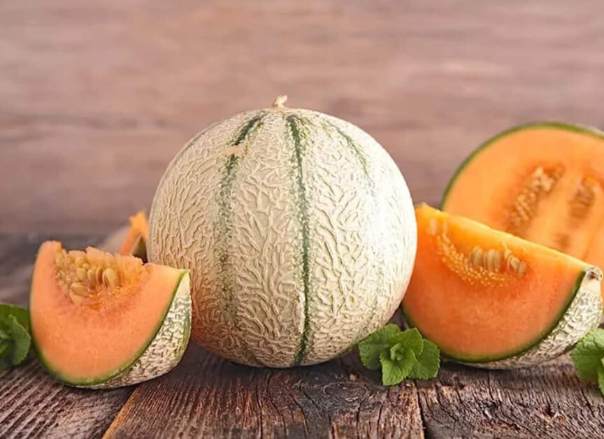 75 Heirloom Honey Rock Cantaloupe Seeds – Prize Winning Melon! – SUPER Sweet!