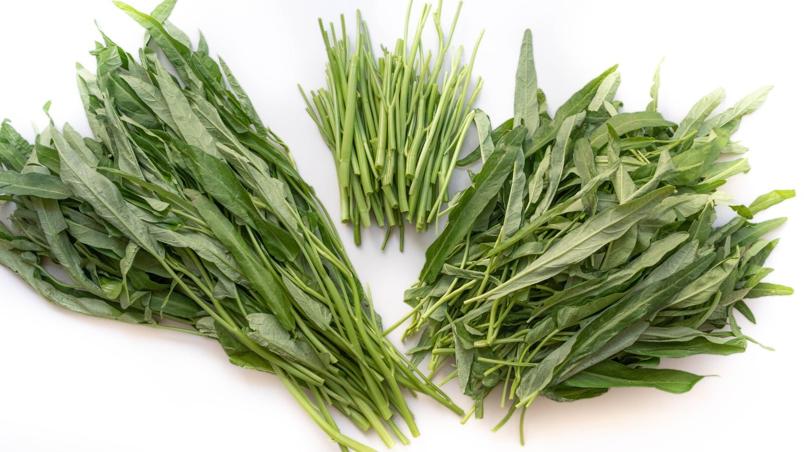 100+ Organic Thai Water Spinach seeds Ong Choy Kang Kong Xin Cai, Hột Rau Muống