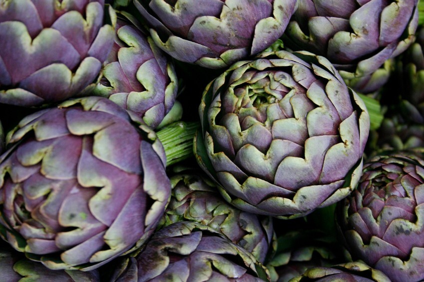Artichoke ‘Green Globe’ or Purple Romagna – 30 seeds