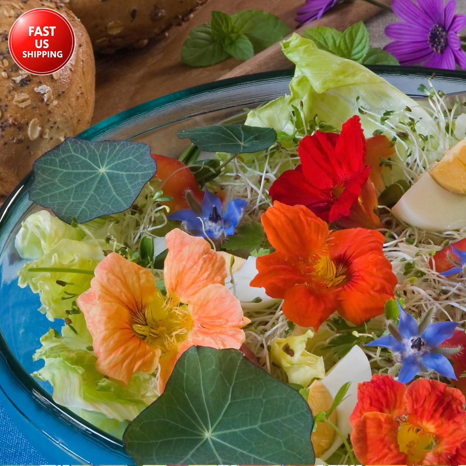 Nasturtium Seeds for Planting Edible Flowers – Collection Set of Jewel Blend & D
