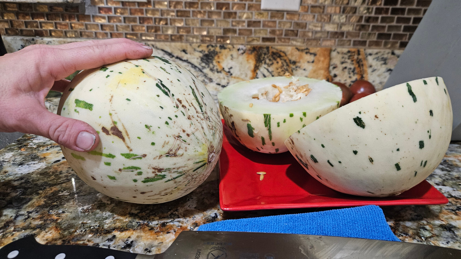 DYNO MELON Seeds (25) / DINOSAUR EGG MELON / SUPER RARE FRUIT