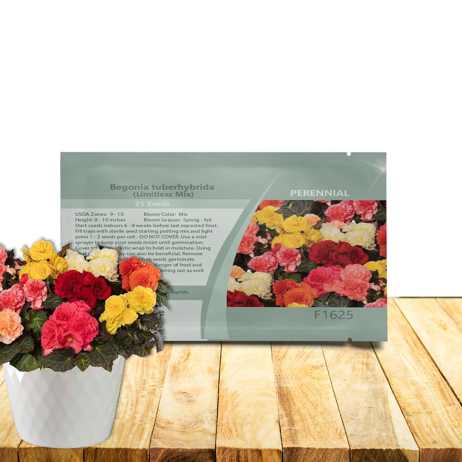 50 Seeds Limitless Begonia Garden Flower Seed Mix – Tuberous Begonias