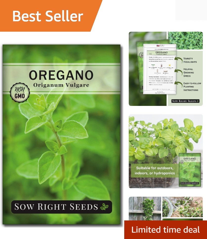 Sow Right Seeds – Oregano Seed for Planting – Non-GMO Heirloom- Instructions to