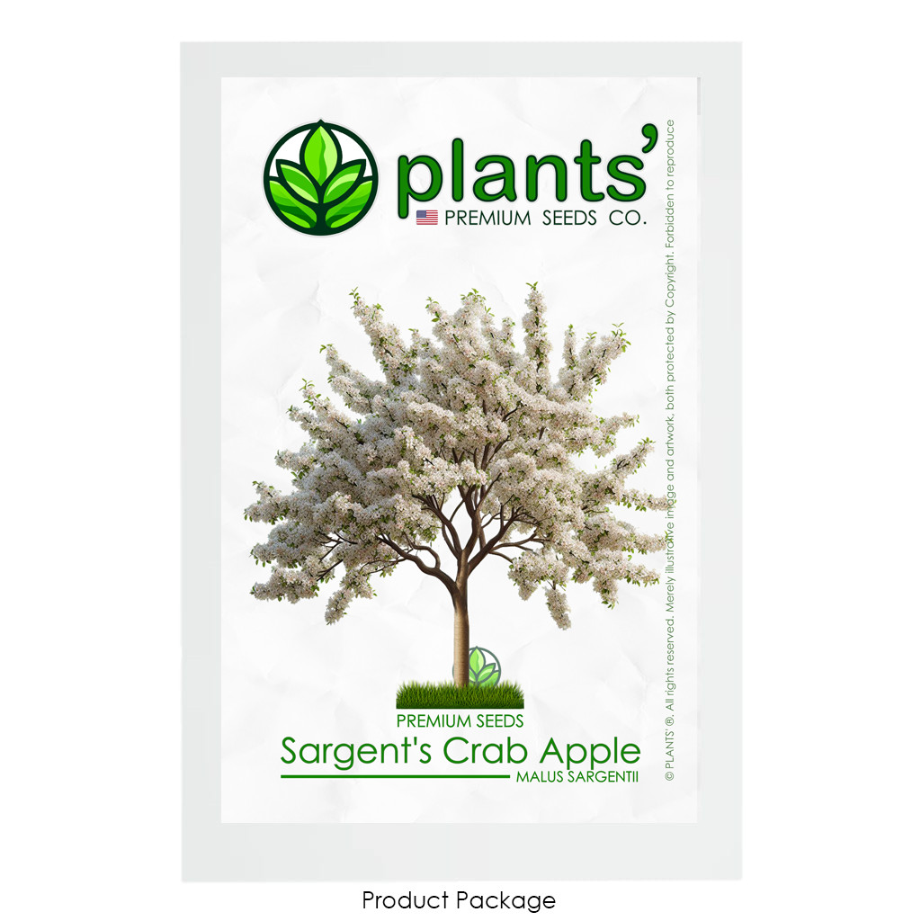 Sargent’s Crabapple Tree | Premium Seeds | Malus sargentii ‘Spring’ | Plants’®