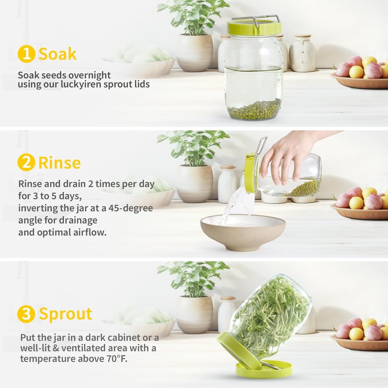 Sprouting Kit with 2 Sprout Screens, Alfalfa Seeds, Broccoli Seeds w/ Directions