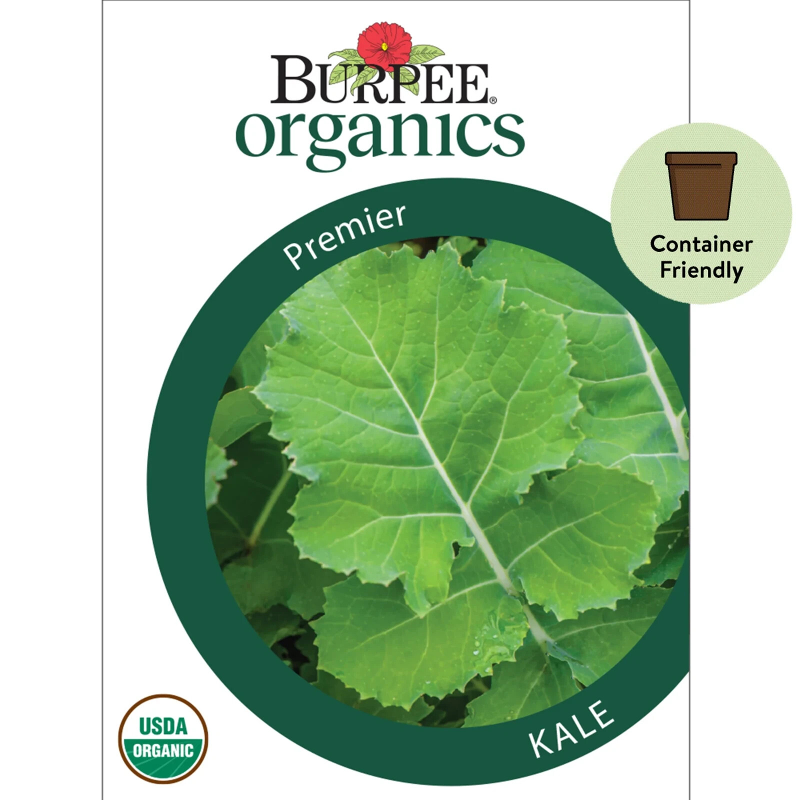 Burpee USDA Organic Premier Kale Vegetable Seeds Full Sun Seed Packet Deep Green
