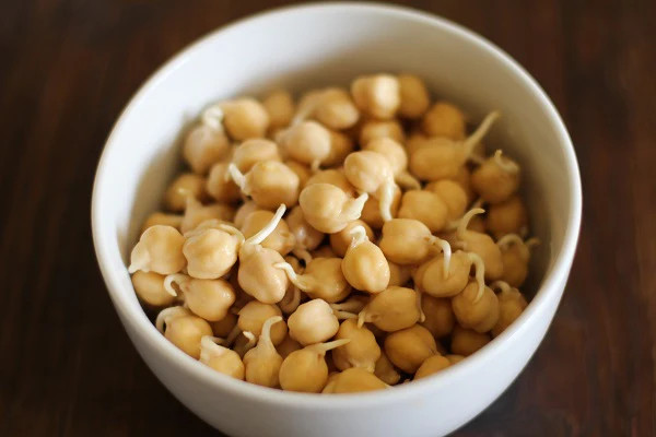 Chickpea Seeds | Marvel Garbanzo Beans Egyptian Chick Pea Indian Seed 2024