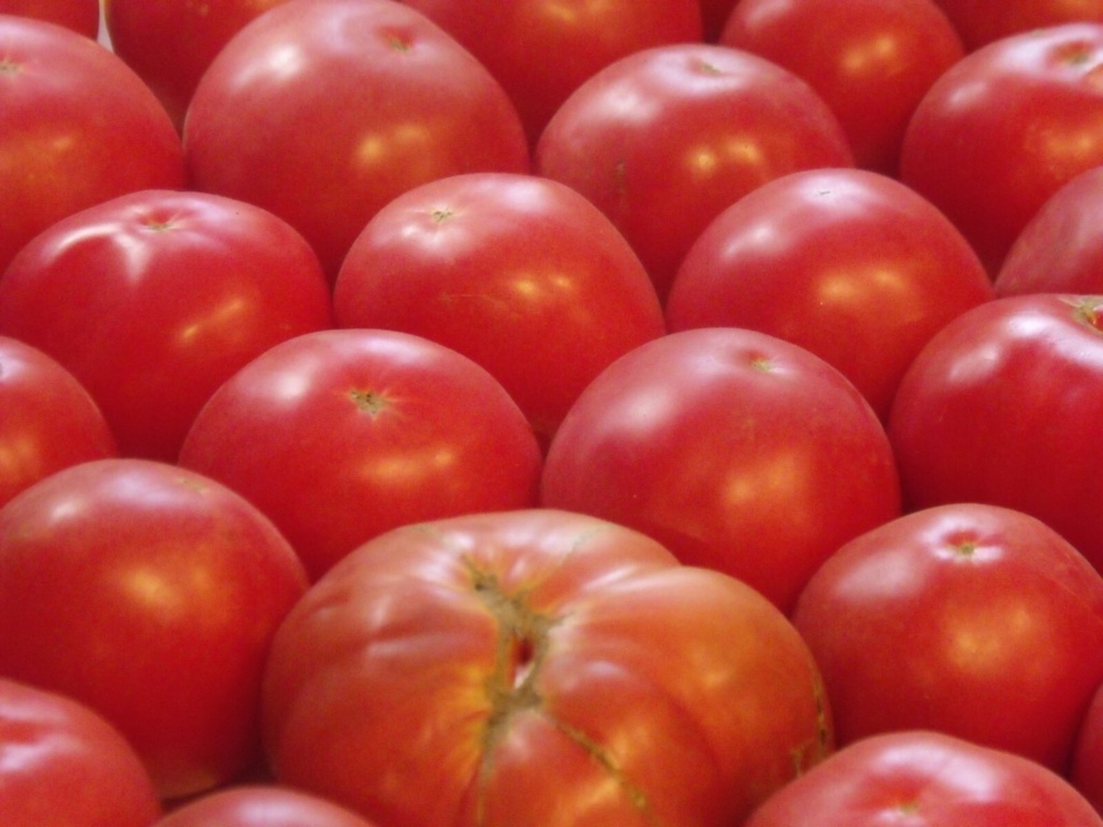 75+ German Johnson Tomato Seeds- Heirloom- 75+ 2021 Seeds