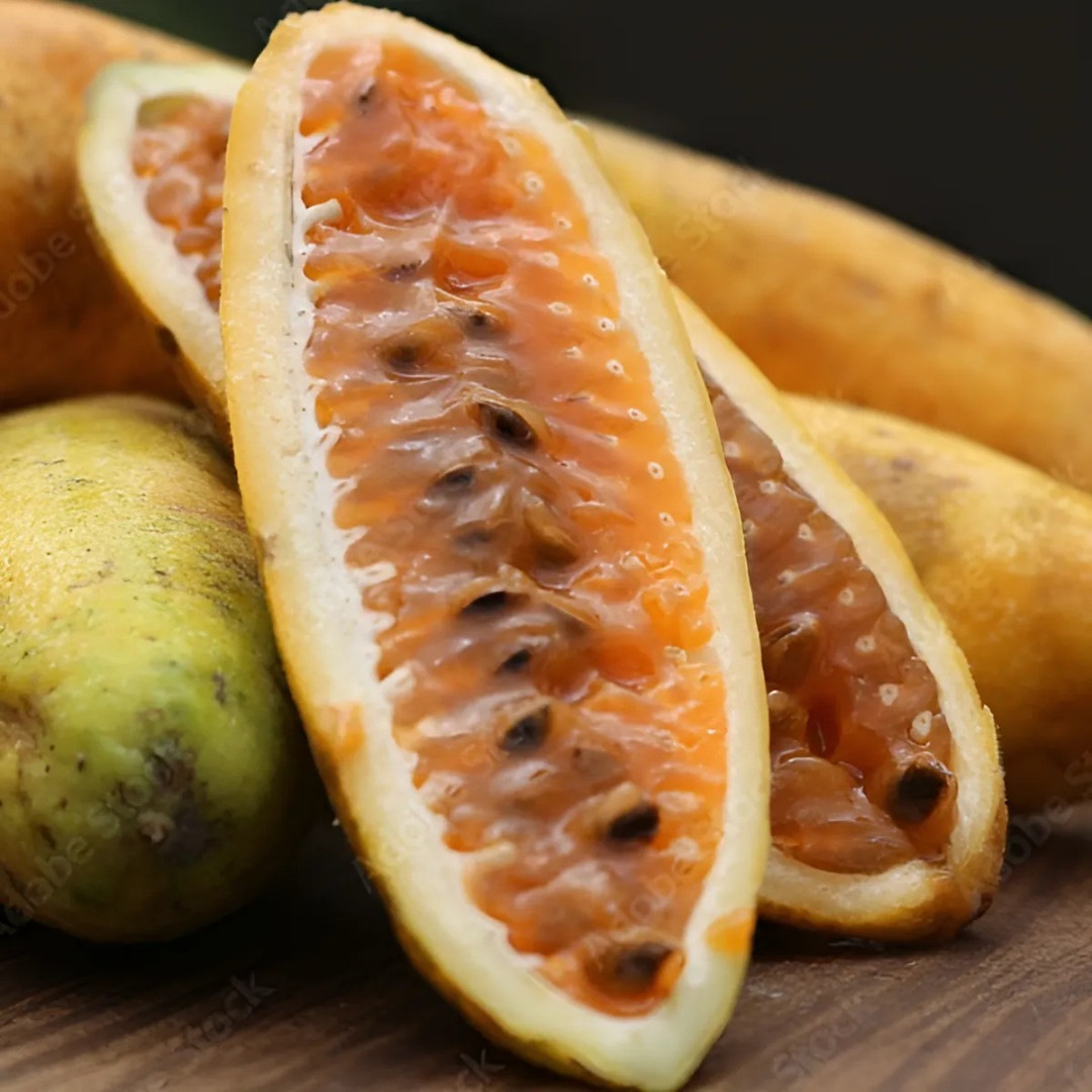 Fresh Premium Banana Passion Fruit Seeds | Heirloom | Non-GMO | Fruit Seeds