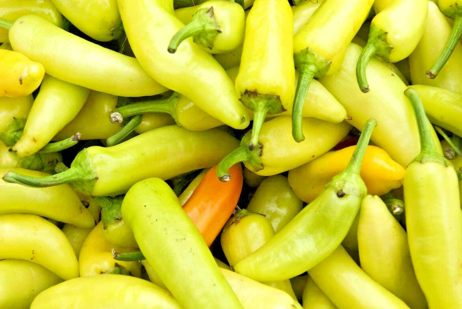 101+Sweet BANANA PEPPER Seeds Organic Vegetable Garden Container Hungarian Easy