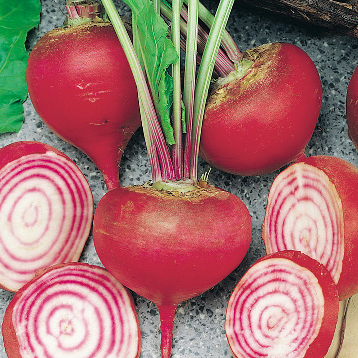 Chioggia Beet Seeds, NON-GMO, Candy Stripe Beet, Bassano, Bulls Eye Beet