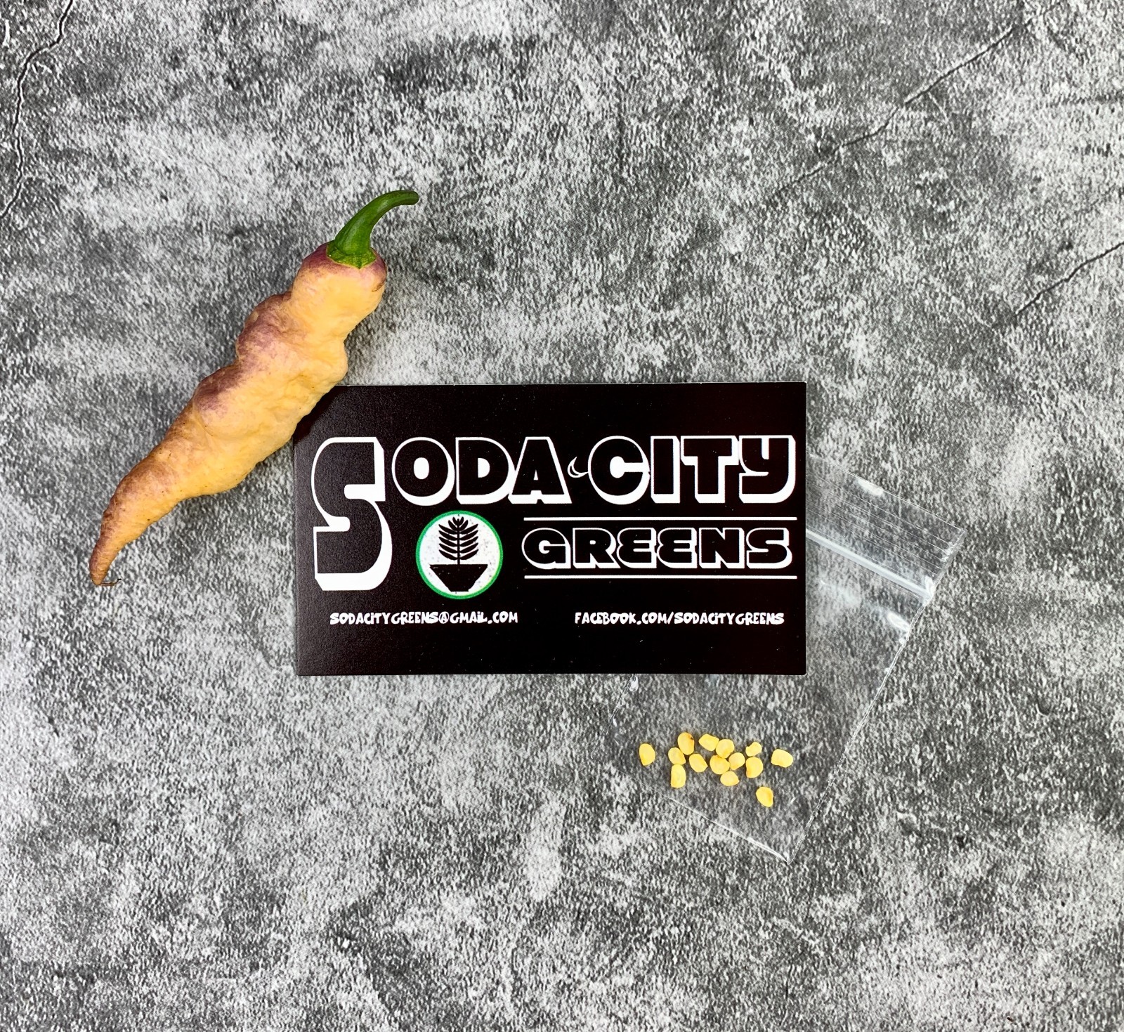 Dream DD Pepper Seeds