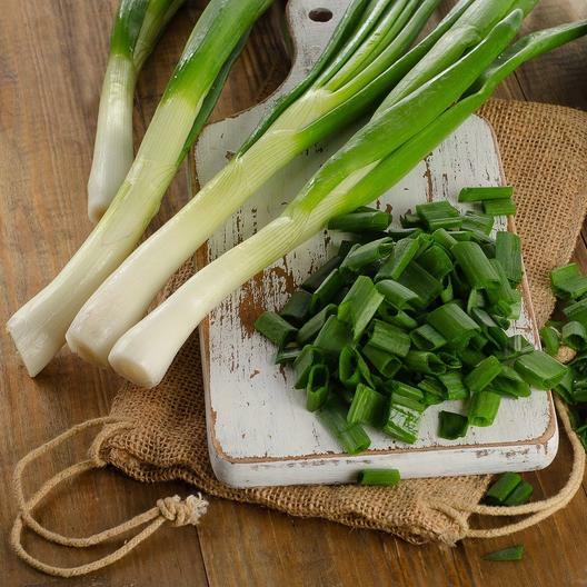 500 Tokyo Long Bunching Onion Seeds NON-GMO Allium fistulosum