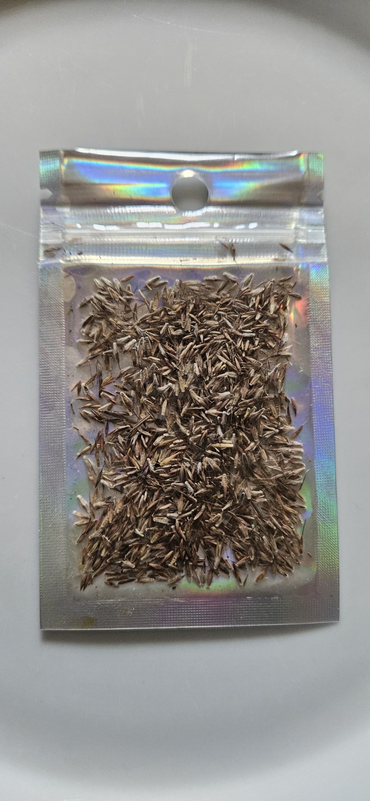 500± (± 0.35gm) LEMONGRASS SEEDS HERB SEEDS- FREE SHIPPING