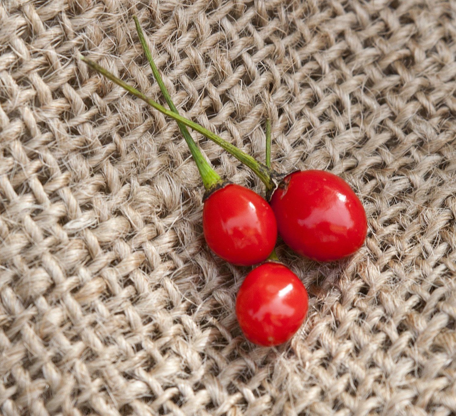 Wiri Wiri Heirloom Pepper Premium Seed Packet