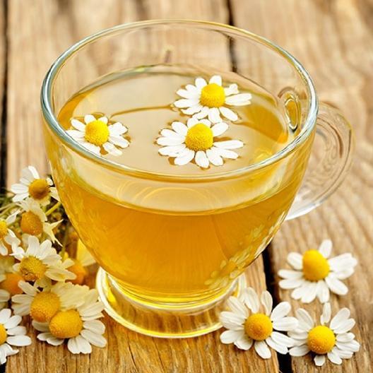 Herb ROMAN CHAMOMILE Medicinal Heirloom Fragrant Perennial Non-GMO 500 Seeds!