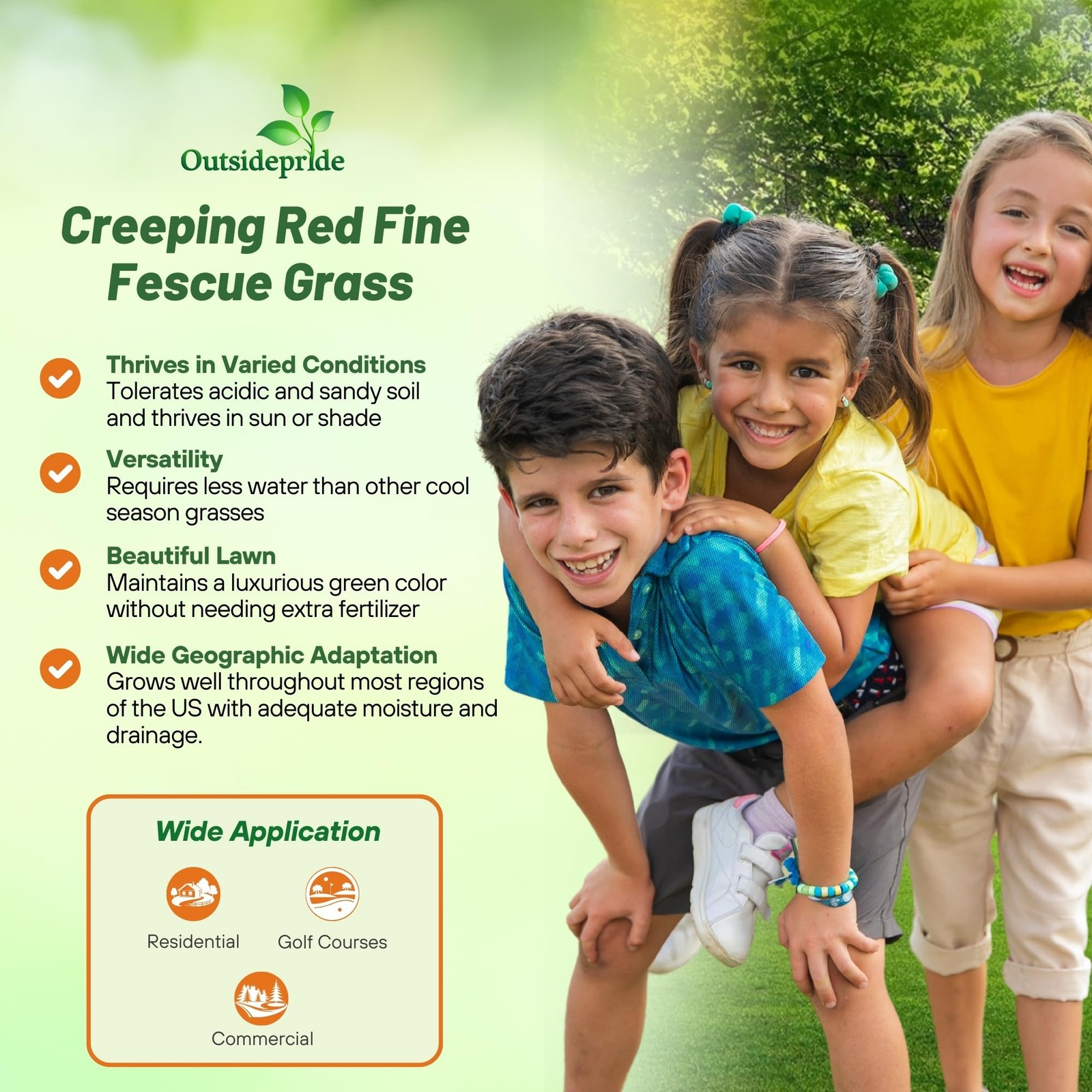 Creeping Red Fescue Grass Seed 10 Lbs. Cool Season, SelfRepairing Lawn Seed