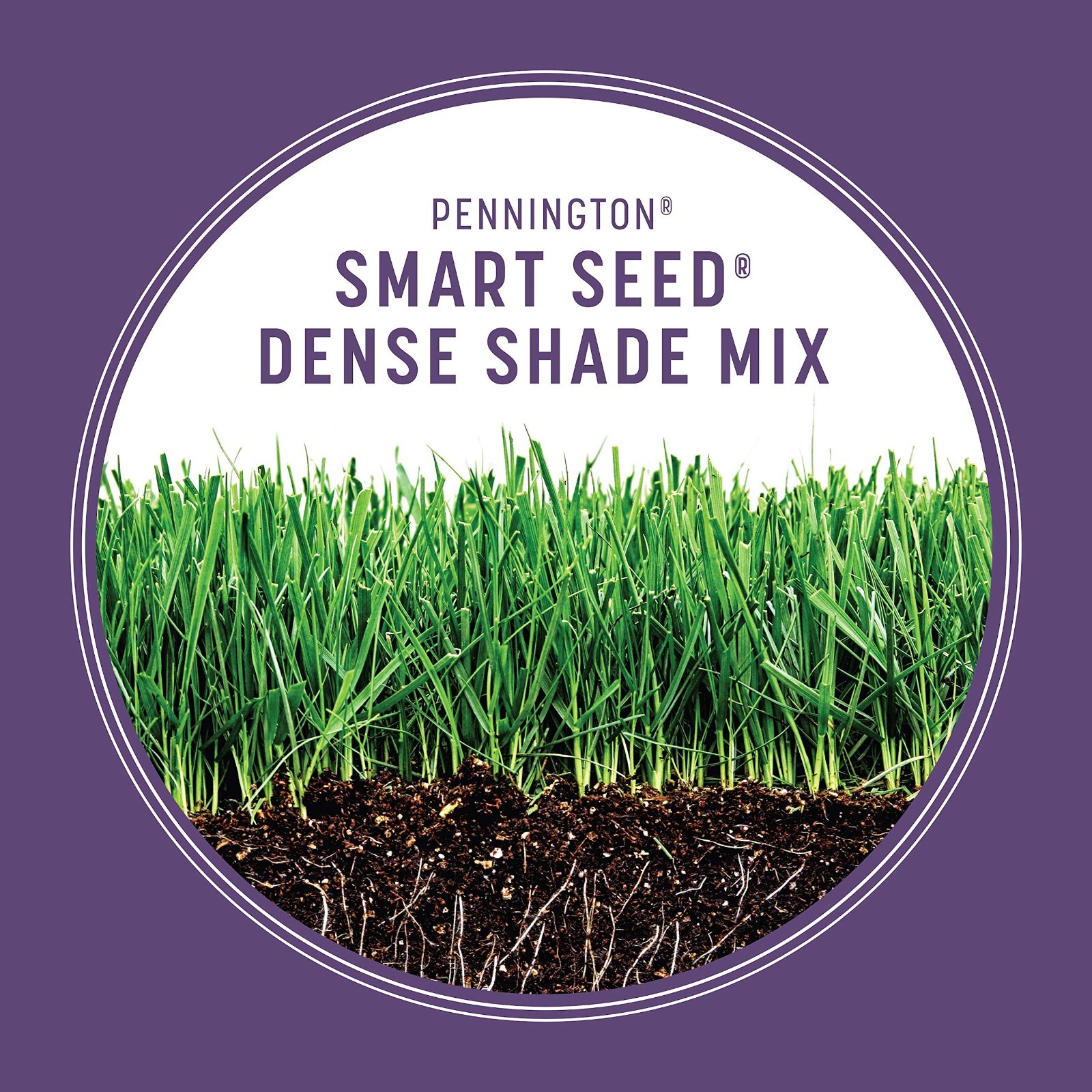 Dense Shade Grass Seed Mix 3 lb – Fast Germination, Drought Resistant, Lush Lawn